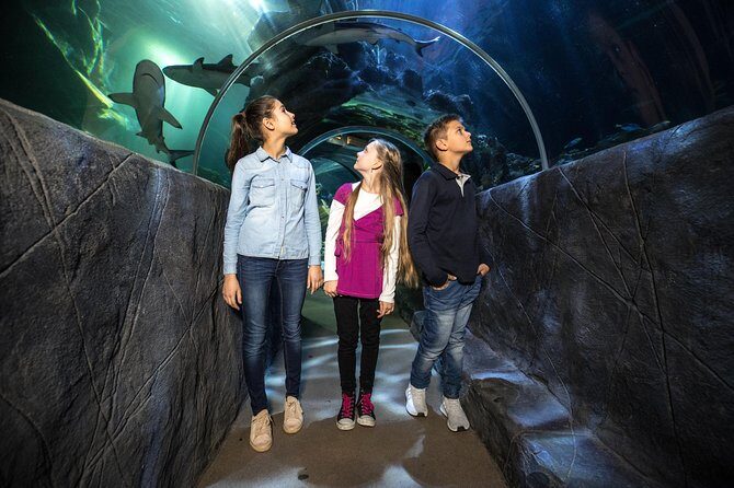 SEA LIFE Munich Admission Ticket - Price and timing: when it feels worth it and when it doesn’t