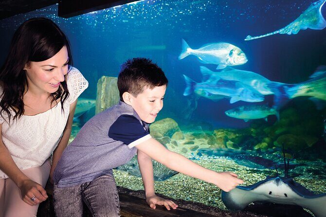 SEA LIFE Munich Admission Ticket - Should you book SEA LIFE Munich?