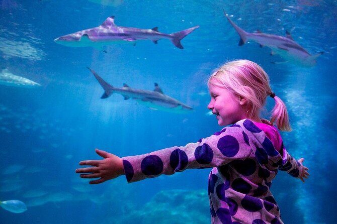 SEA LIFE Oberhausen Admission Ticket - Key things that make SEA LIFE Oberhausen worth your time