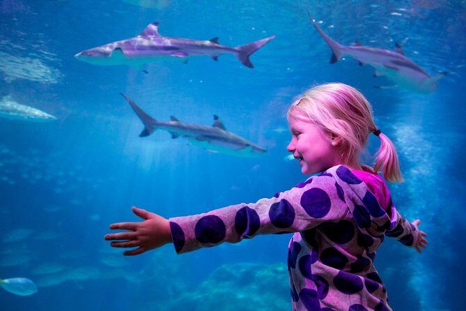 SEA LIFE Oberhausen Admission Ticket - The glass tunnel aquarium: the easiest way to slow your pace