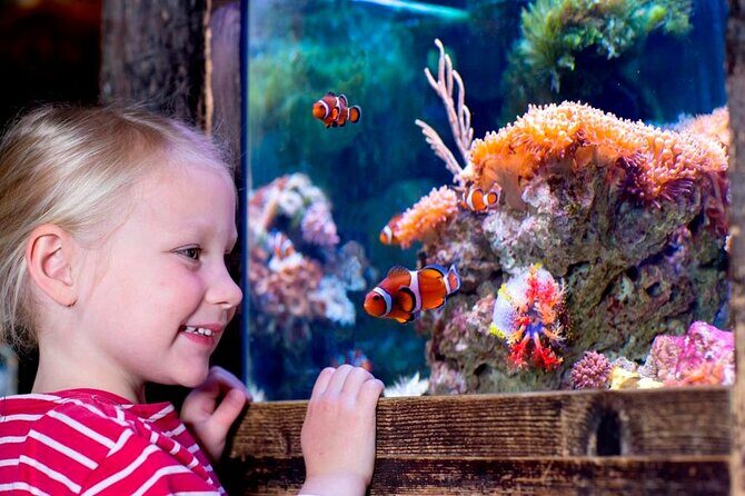 SEA LIFE Oberhausen Admission Ticket - Getting in smoothly with a mobile ticket and small group limit