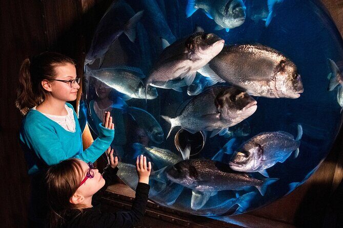 SEA LIFE Speyer Admission Ticket - SEA LIFE Speyer: what you’re really paying for