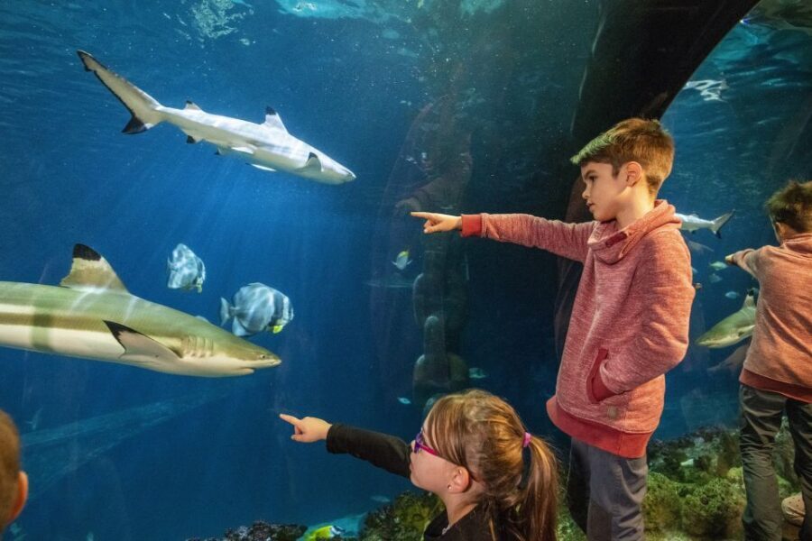 Sea Life Speyer Ticket - Key points before you go
