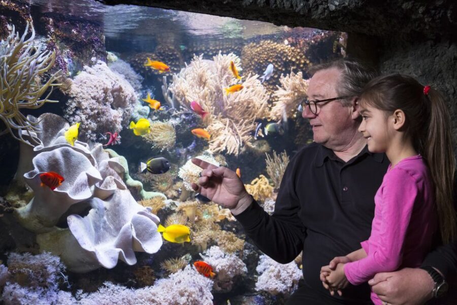 Sea Life Speyer Ticket - Germany’s biggest shark nursery: learning without feeling heavy