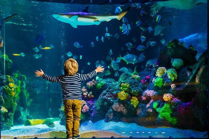 SEA LIFE Timmendorfer Strand Admission Ticket - Rainforest section: otters, piranhas, and that big boa