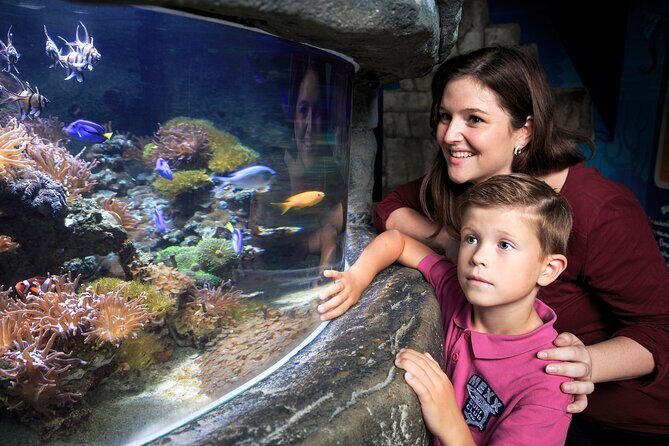 SEA LIFE Timmendorfer Strand Admission Ticket - How long it takes (and how to avoid feeling rushed)