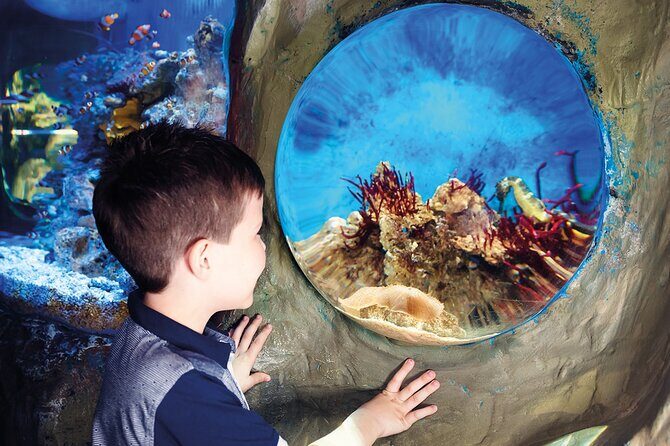 SEA LIFE Timmendorfer Strand Admission Ticket - Animal welfare concerns: what you should consider before you go