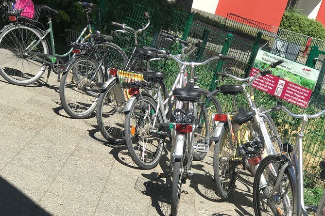 Small-Group Historical Bike Tour in Berlin - Oranienburger Straße: Jewish landmarks and the Berlin background