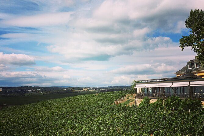 Small Group Rheingau Vineyards Tour with Castles and Abbeys - Passing Johannisberg Palace: the Rhine scenery moment