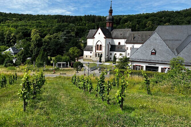 Small Group Rheingau Vineyards Tour with Castles and Abbeys - What you learn about German wine (and how to use it later)