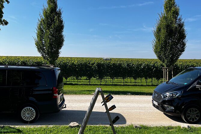 Small Group Rheingau Vineyards Tour with Castles and Abbeys - Price and value: why $199.55 can make sense