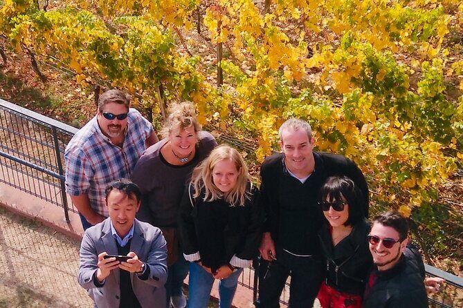 Small Group Rheingau Vineyards Tour with Castles and Abbeys - Key highlights that make the experience feel worth it