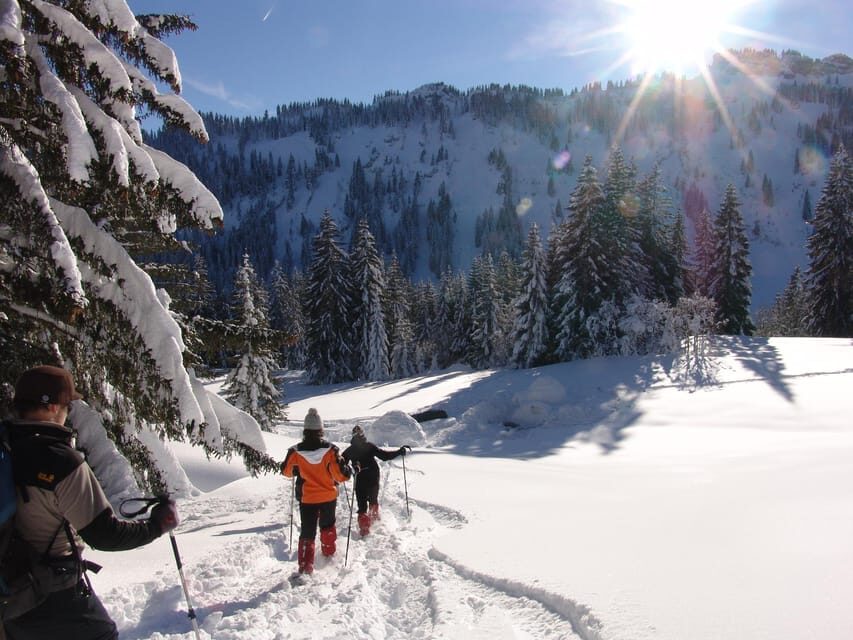 Snowshoe hike in the Allgäu - Key Things to Know Before You Go