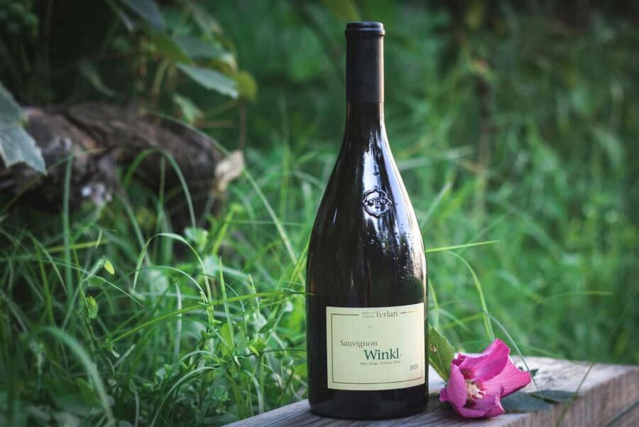 South Tyrolean specialties and wine tasting - Key things I’d circle on your plan
