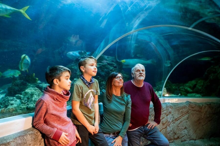 Speyer: SEA LIFE Behind the Scenes Tour - The big attraction: rays and sharks during feeding time