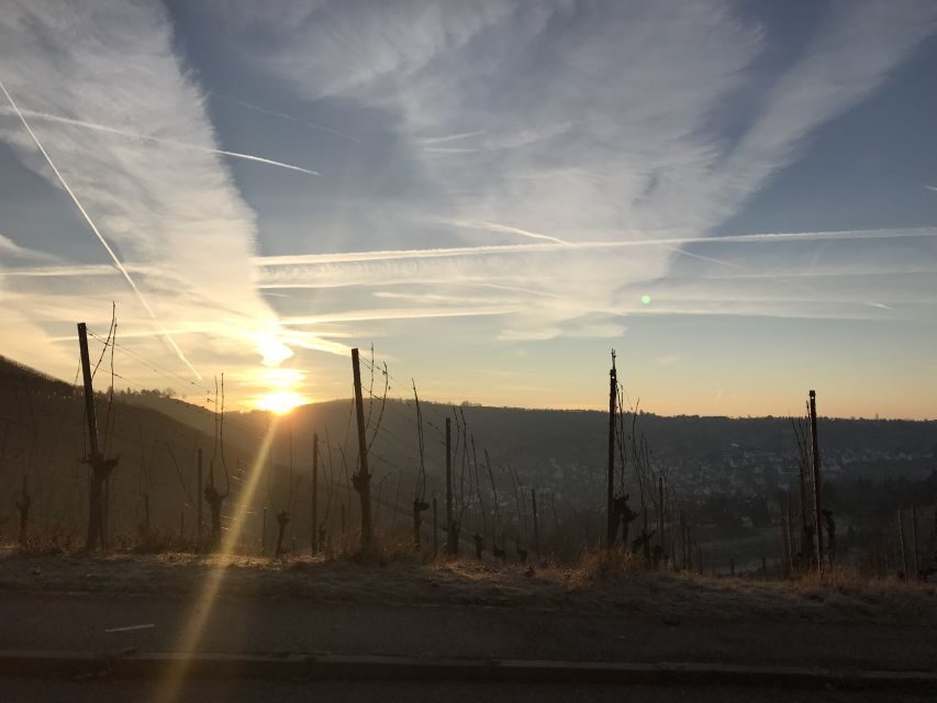 Stuttgart: Guided Glühwein Tour - Who this tour fits best (and who should skip it)