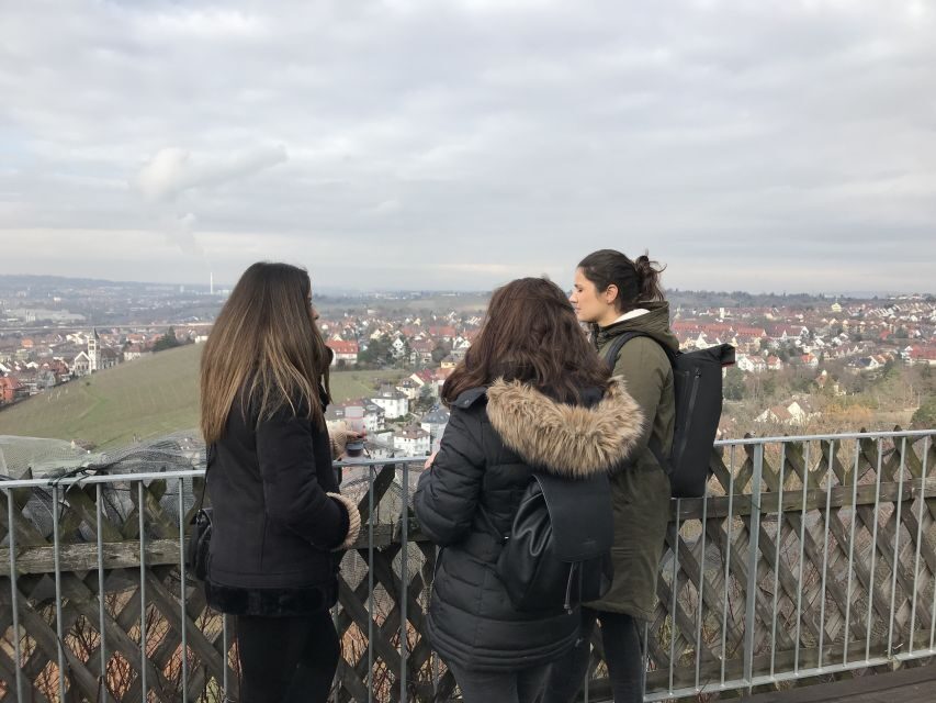 Stuttgart: Guided Glühwein Tour - Vineyard work in winter: what the guide helps you notice