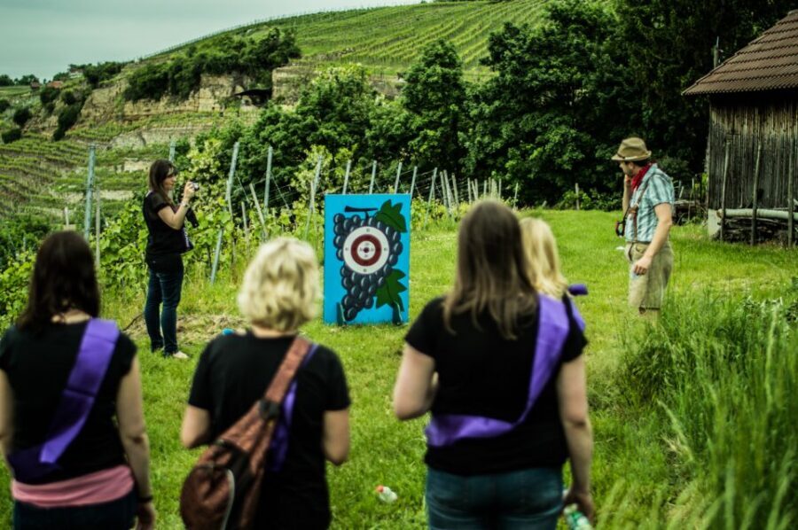 Stuttgart: Guided Vineyards Tour - Timing and Practical Expectations for 3.5 Hours in the Vineyards