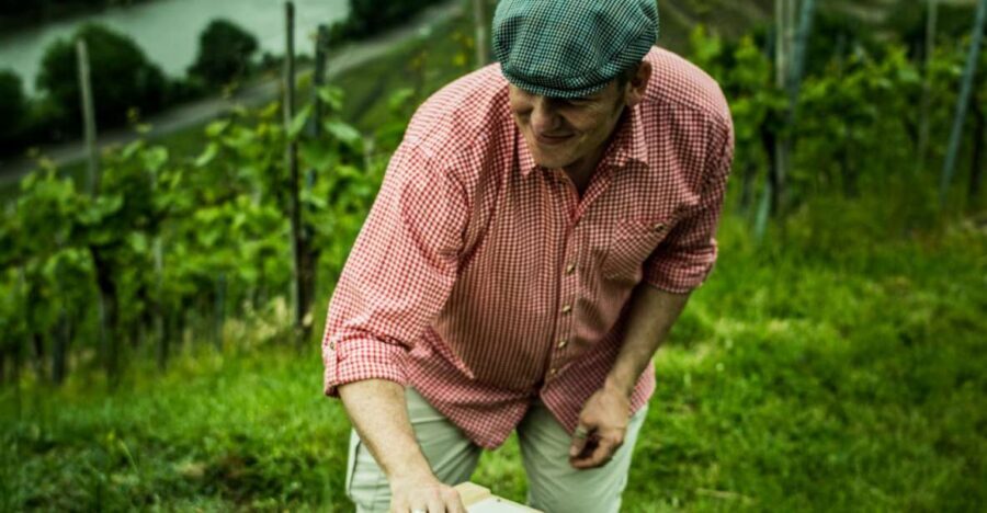 Stuttgart: Guided Vineyards Tour - Wine Tasting with Five Local Wines: More Than Just a Sip