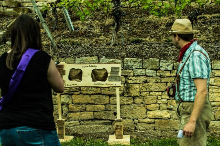 Stuttgart: Guided Vineyards Tour - Wine Games and Crunchy Snacks: The Social Part That Works