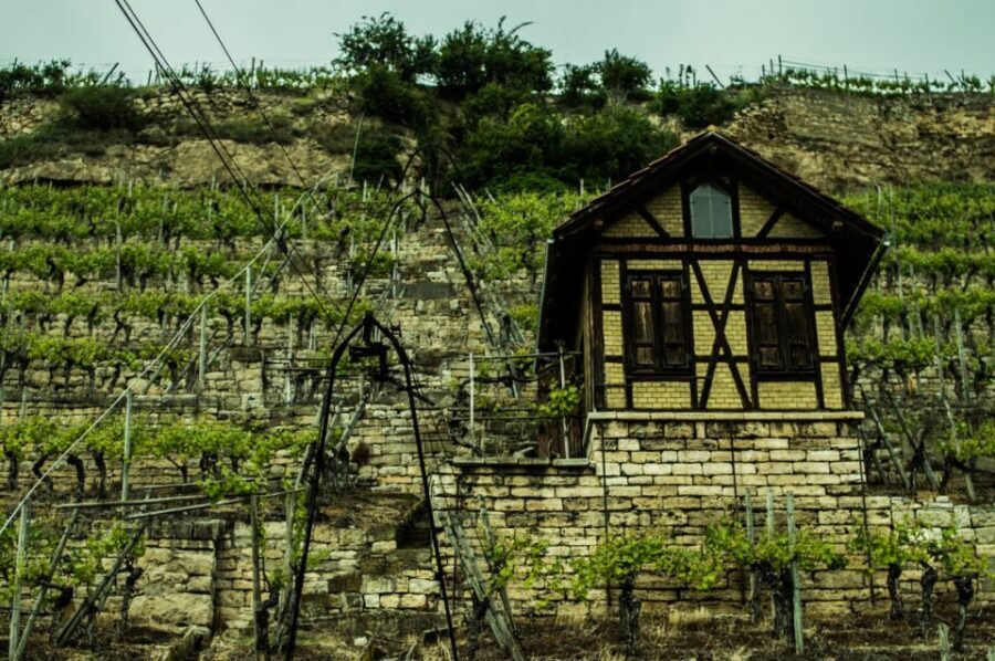 Stuttgart: Guided Vineyards Tour - Views Over Bad Cannstatt, Münster, the Neckar: Why You’ll Remember This