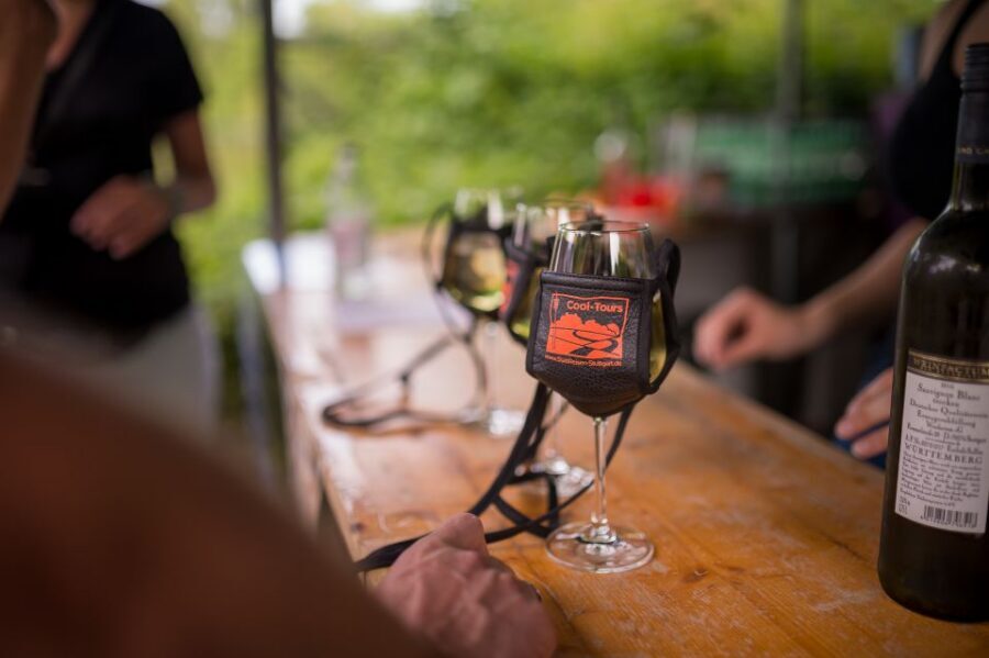 Stuttgart: Guided Vineyards Tour - Price and Value: Is $800 per Group Worth It?