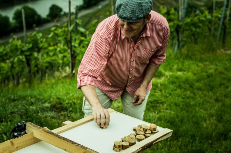 Stuttgart: Guided Vineyards Tour - Who This Tour Suits Best (And Who Should Skip It)