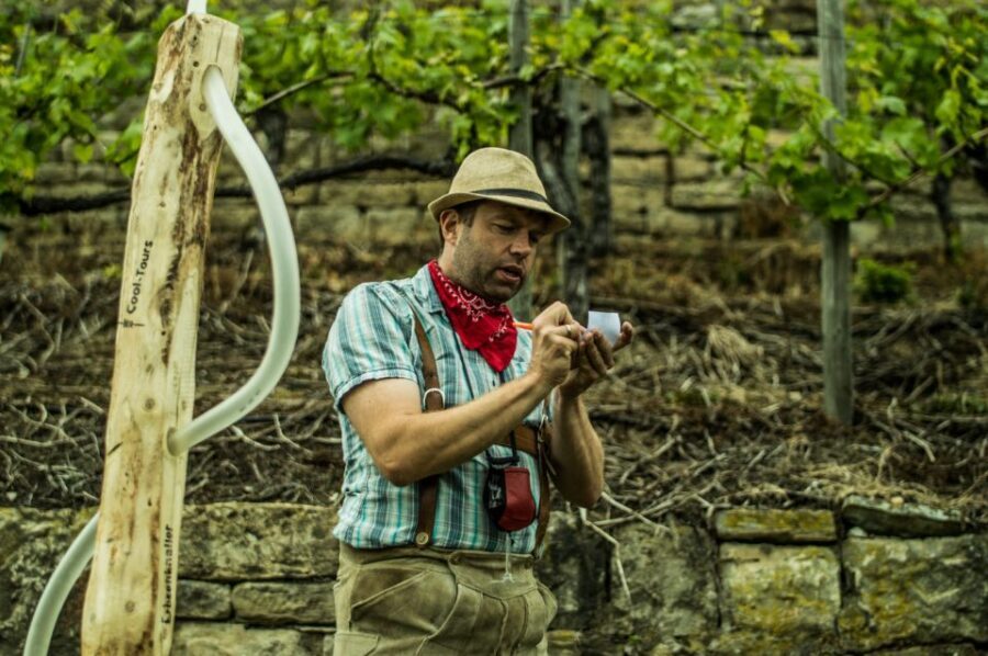 Stuttgart: Guided Vineyards Tour - The Vineyard Walk: Steep Slopes, Big Views, Real Pacing