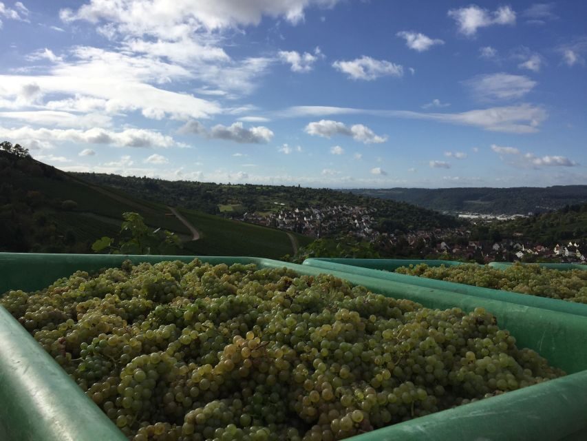Stuttgart: Guided Wine Walk & Wine Tasting - Price and Value: Is $50 Reasonable for a 150-Minute Wine Walk?