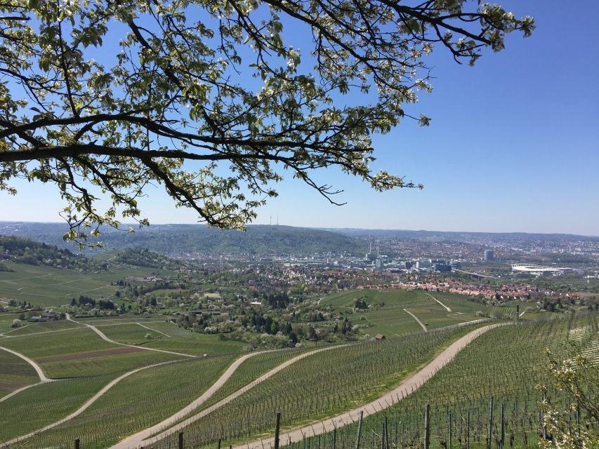 Stuttgart: Guided Wine Walk & Wine Tasting - Meeting Point and Practical Logistics Without the Headaches