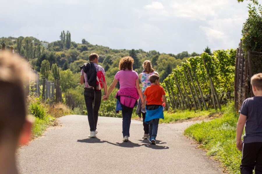 Stuttgart Nature Experience Day - Key highlights worth marking on your mental map