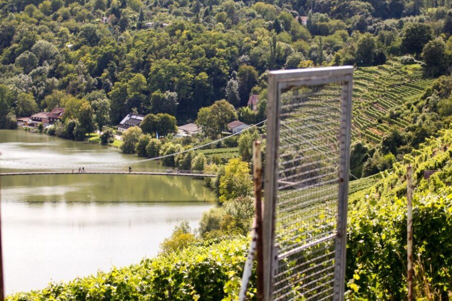 Stuttgart Nature Experience Day - Riverhouse Austr. 370: finishing with ice cream and a place to reset