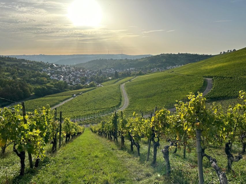 Stuttgart: Sparkling Wine Tour - Stuttgart-Uhlbach: the start point that keeps things local