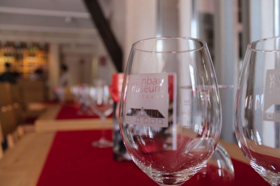 Stuttgart: Stuttgart Wine Museum Wine Tasting - Stuttgart Wine Museum: a relaxed tasting with real grape context