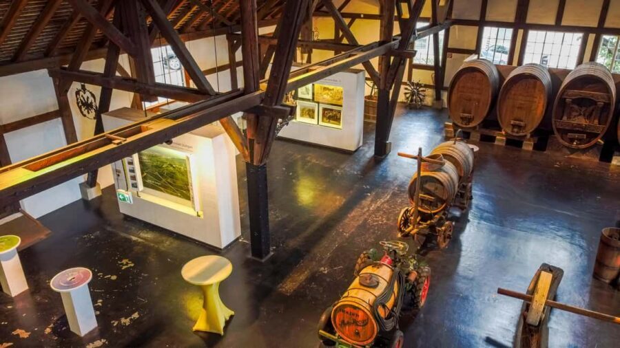 Stuttgart: Stuttgart Wine Museum Wine Tasting - Learning in a German-only setting: plan how you’ll follow along