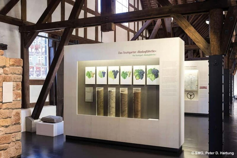 Stuttgart: Taster tour of the Wine Museum incl. 0.1 l wine - The 0.1 l Tasting and Your Stuttgarter Tröpfle Toast