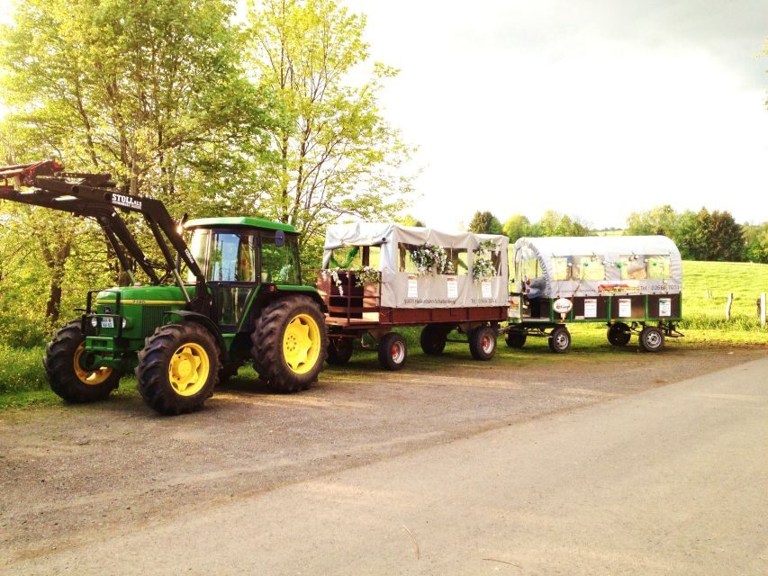 Stuttgart: Vineyard Tour by Covered Wagon - Key highlights before you go