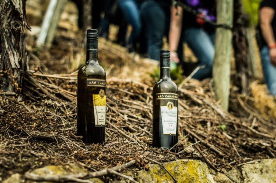 Stuttgart: Vineyard Tour by Covered Wagon - Stuttgart’s Neckar Valley by Covered Wagon: A Slow Ride With Real Views