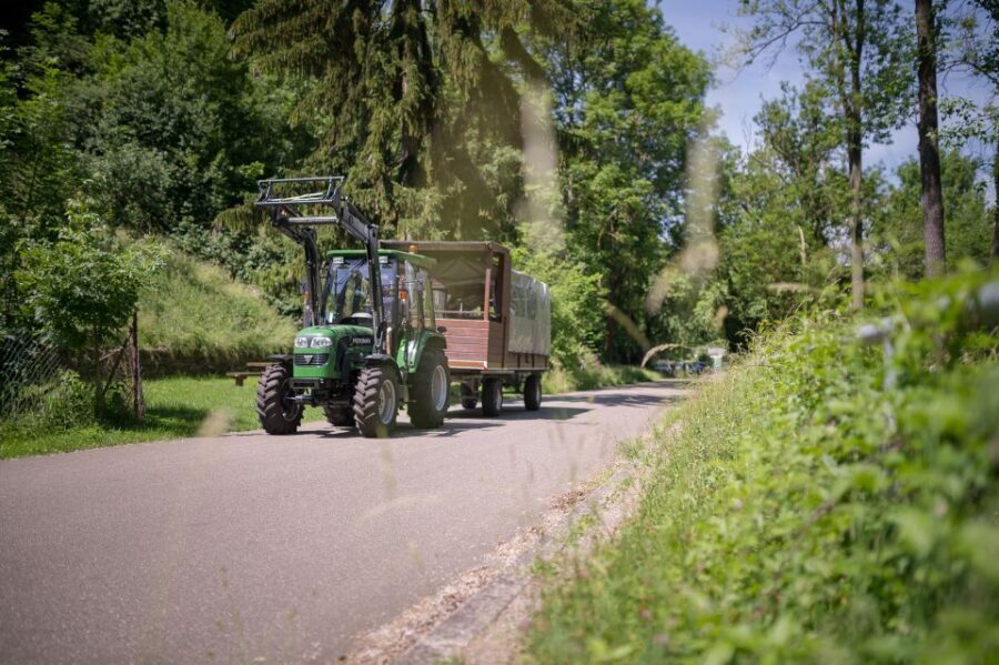 Stuttgart: Vineyard Tour by Covered Wagon - Max-Eyth-Lake and Neckar Valley Views: Where the Scenery Gets Its Voice