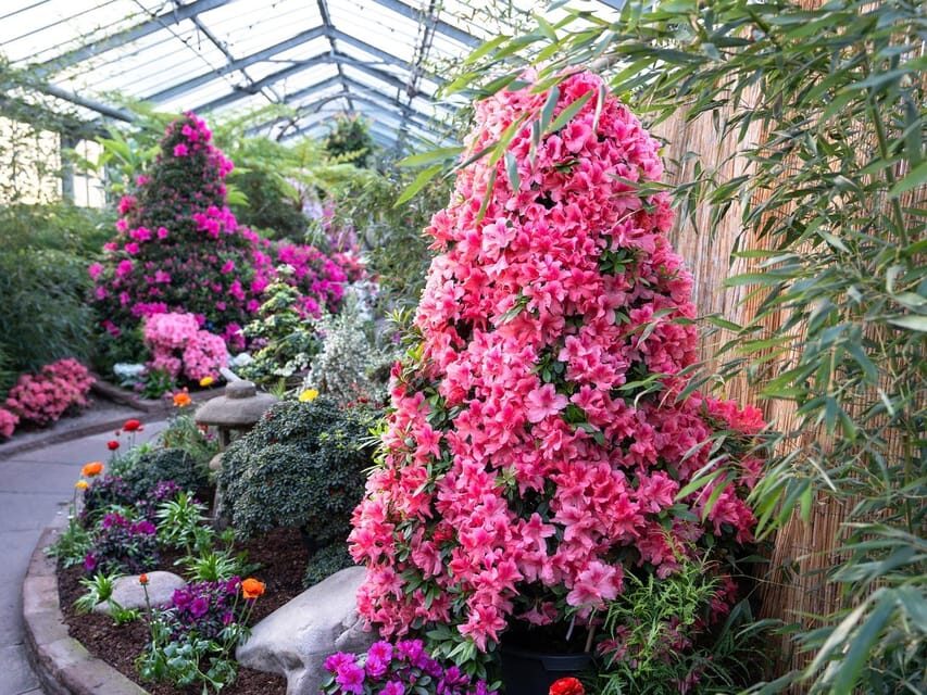 Stuttgart: Wilhelma Zoological-Botanical Garden Ticket - What’s included, what costs extra, and how to think about value