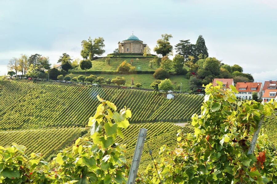 Stuttgart: Wine hike with wine tasting - Price and Value: Why $30 Feels Fair Here