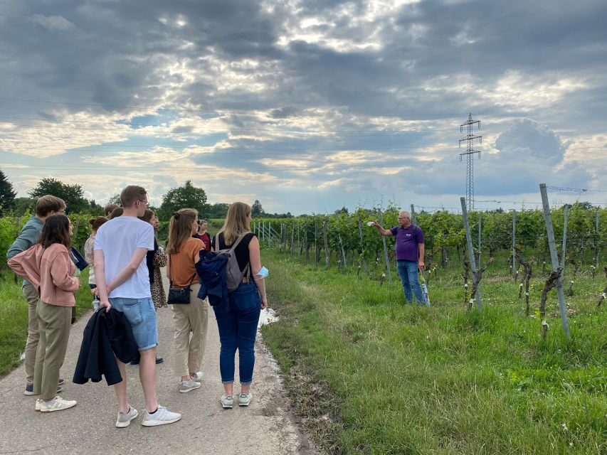 Stuttgart: Wine Tour with wines of the best winemakers - Key highlights I’d plan around