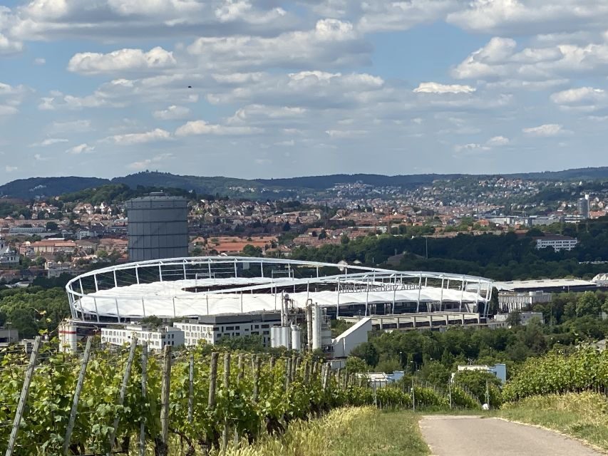Stuttgart: Wine Tour with wines of the best winemakers - Who this tour suits best (and who should skip it)
