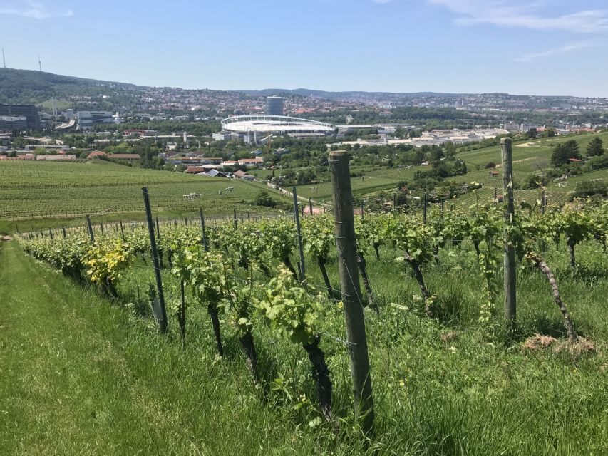 Stuttgart: Wine Tour with wines of the best winemakers - Fellbach meet-up: starting points that keep things simple