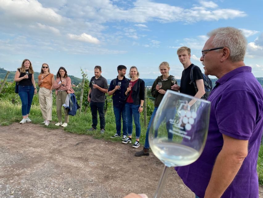 Stuttgart: Wine Tour with wines of the best winemakers - How the guide turns vineyard work into something you can taste
