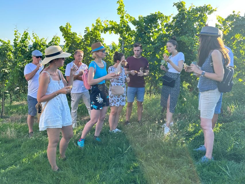 Stuttgart: Wine Tour with wines of the best winemakers - Price and value: is $50 worth it?