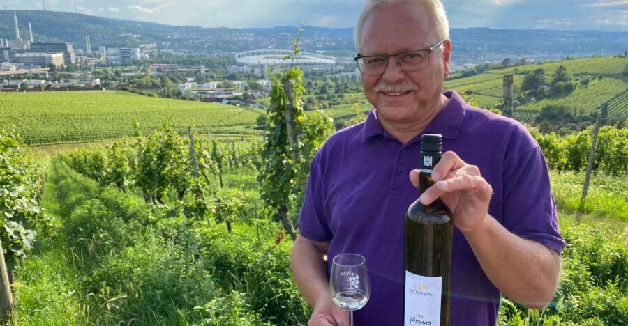 Stuttgart: Wine Tour with wines of the best winemakers - Herzogenberg vineyards and the views over Stuttgart