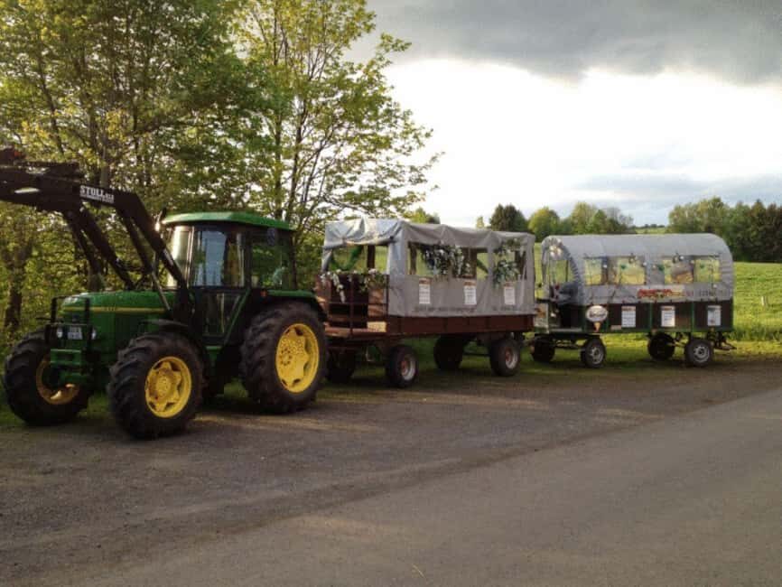 Stuttgart: Winter sleigh covered wagon tour - Your two-course option: coffee, waffles, and cake