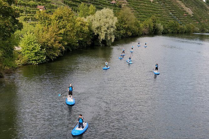 SUP BASIC COURSE Stuttgart Neckar Stand Up Paddling / Paddling Adventure Jones Tours - Second hour on your terms: advanced technique, play, or relaxation