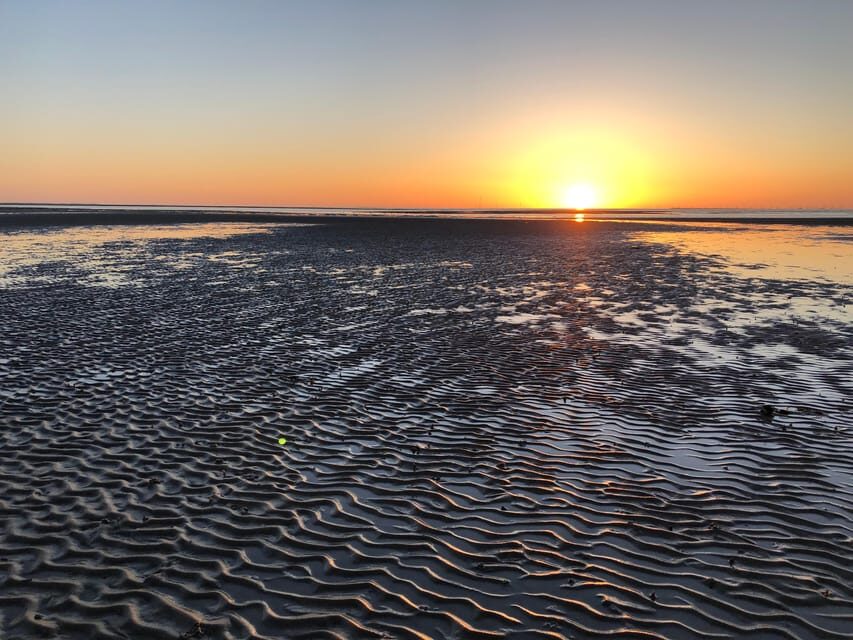 Sylt: Guided Mudflat Hike on the Island - Why Sylt’s Wadden Sea Walk Works Better With a Guide